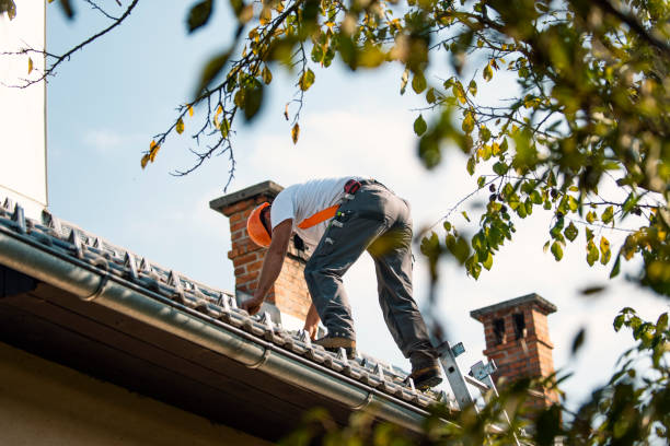 Best Roof Ventilation Installation  in Mccom, OH